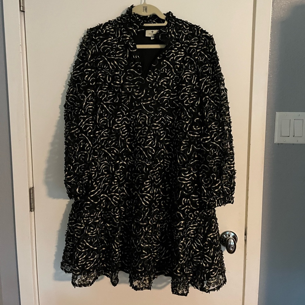 Tuckernuck Nightly organza Palmerston dress XL